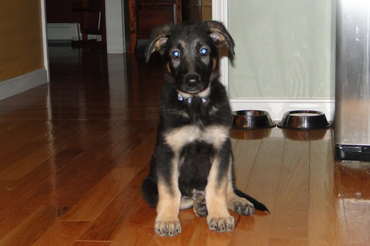 DSC01677_edited-1 - Copy